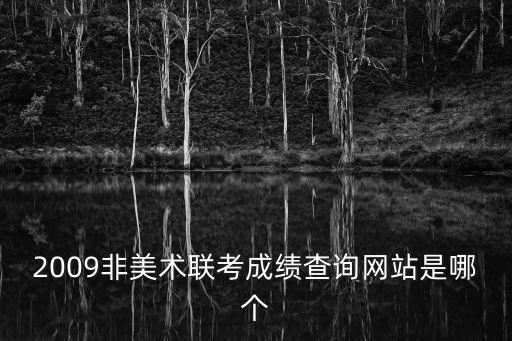 2009非美術(shù)聯(lián)考成績(jī)查詢網(wǎng)站是哪個(gè)