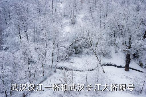 武漢漢江一橋和武漢長江大橋限號