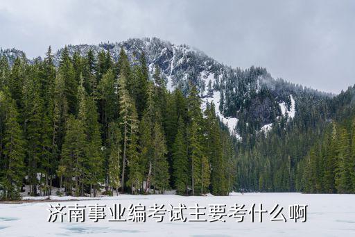 濟南事業(yè)編考試，2020年濟南事業(yè)單位報考條件是什么專科可以考嗎