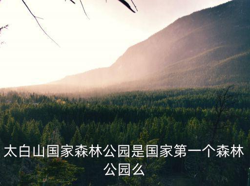 太白山國家森林公園是國家第一個森林公園么