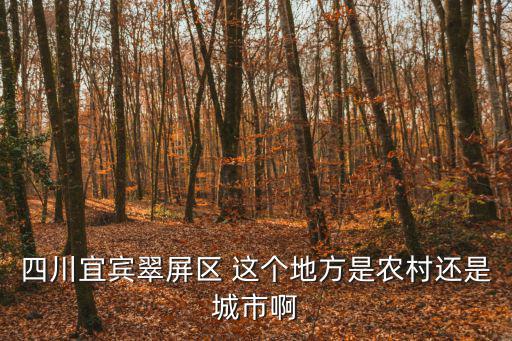 四川宜賓翠屏區 這個地方是農村還是城市啊