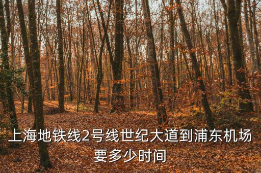 世紀大道地鐵站，世紀大道怎么乘坐地鐵到楊樹浦路站