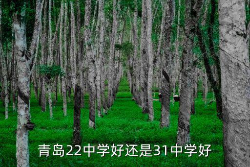 青島22中學好還是31中學好
