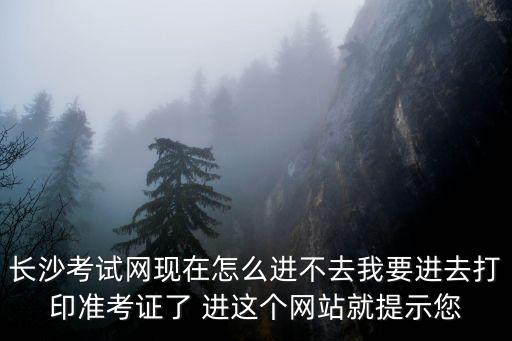 長沙考試網(wǎng)現(xiàn)在怎么進不去我要進去打印準考證了 進這個網(wǎng)站就提示您