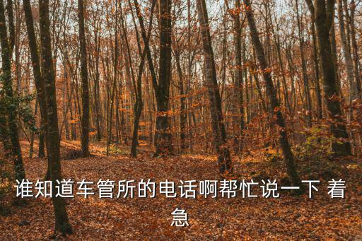 車管所24小時咨詢熱線，誰知道車管所的電話啊幫忙說一下 著急
