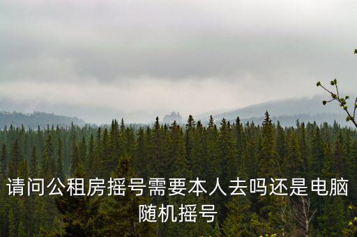 請問公租房搖號需要本人去嗎還是電腦隨機搖號