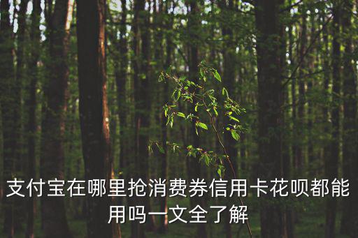 支付寶消費券，支付寶消費券可以點外賣嗎