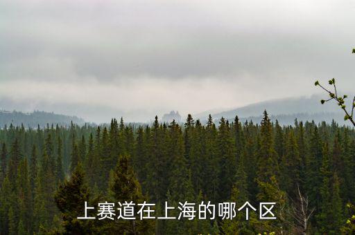 上賽道在上海的哪個區(qū)