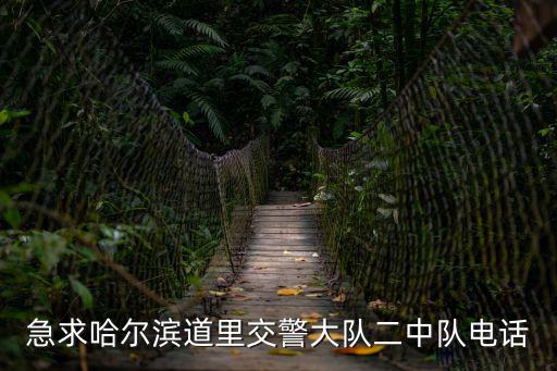 急求哈爾濱道里交警大隊(duì)二中隊(duì)電話