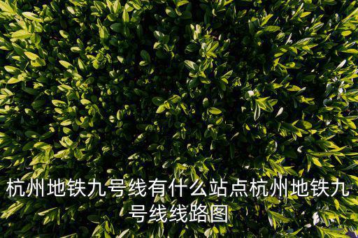 九號(hào)線(xiàn)地鐵線(xiàn)路圖，大柏樹(shù)地鐵到九號(hào)線(xiàn)七寶路線(xiàn)圖