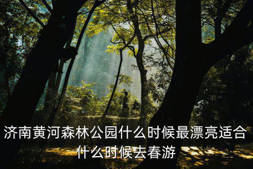 濟南黃河森林公園什么時候最漂亮適合什么時候去春游