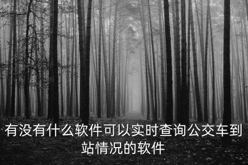 有沒有什么軟件可以實時查詢公交車到站情況的軟件