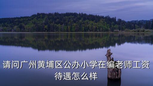請問廣州黃埔區公辦小學在編老師工資待遇怎么樣