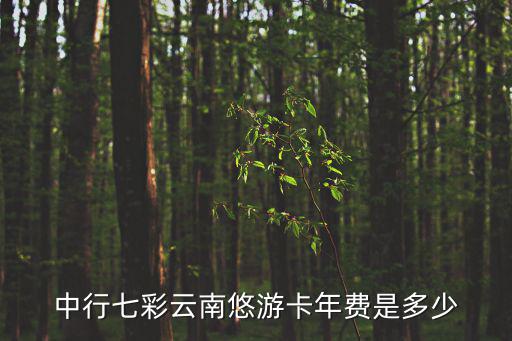中行七彩云南悠游卡年費是多少