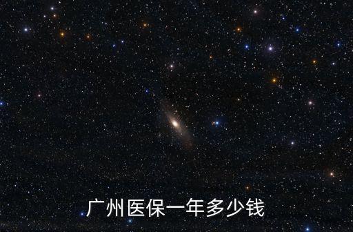 廣州醫保一年多少錢