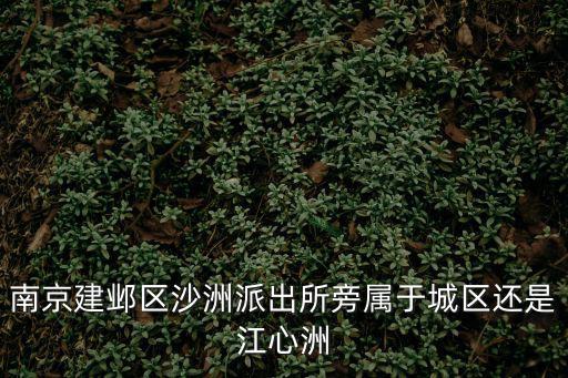 南京建鄴區沙洲派出所旁屬于城區還是江心洲