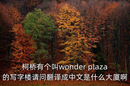 ffc大廈，柯橋有個(gè)叫wonder plaza的寫字樓請問翻譯成中文是什么大廈啊