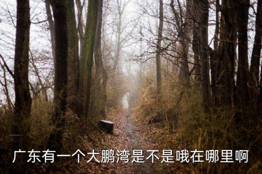 大鵬灣，大鵬灣在深圳哪個區