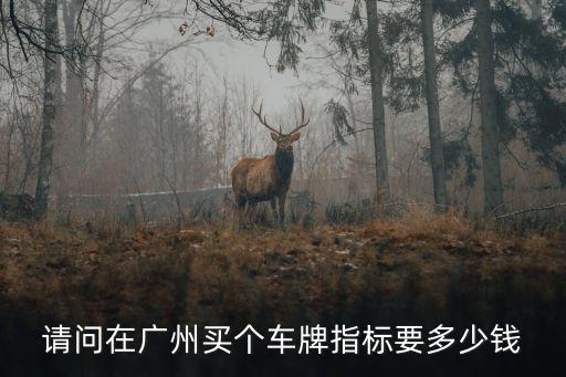 請問在廣州買個車牌指標要多少錢