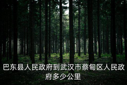 蔡甸區(qū)人民政府，蔡甸區(qū)大集鎮(zhèn)新塘村什么時(shí)候拆遷