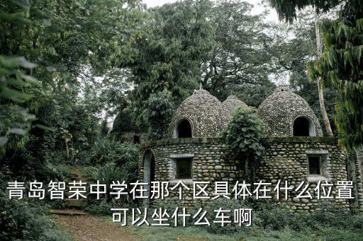 青島智榮中學(xué)在那個(gè)區(qū)具體在什么位置可以坐什么車啊