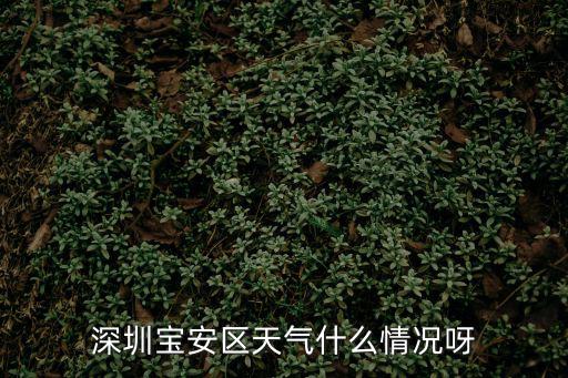 深圳寶安區天氣什么情況呀