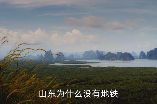 山東地鐵，上海地鐵有到山東濟南的嗎
