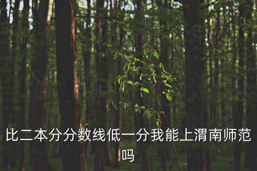 比二本分分數線低一分我能上渭南師范嗎