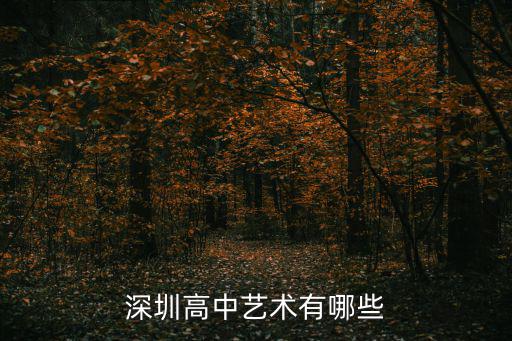 深圳藝術高中，深圳高中藝術有哪些