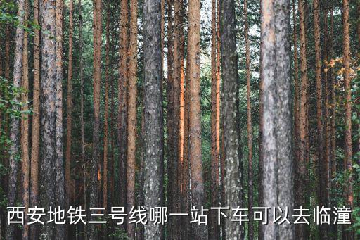 西安地鐵三號線哪一站下車可以去臨潼