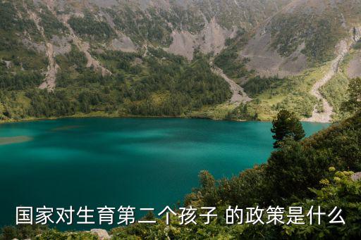 國家對生育第二個(gè)孩子 的政策是什么