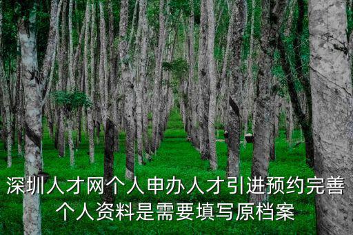 深圳人才網個人申辦人才引進預約完善個人資料是需要填寫原檔案