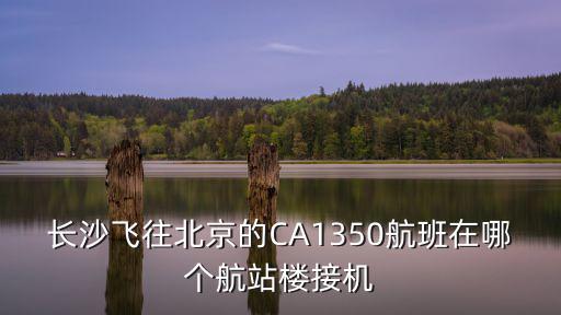 長沙飛往北京的CA1350航班在哪個航站樓接機