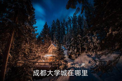 成都大學城在哪里