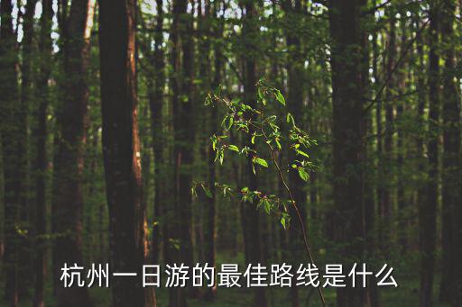 杭州一日游的最佳路線是什么
