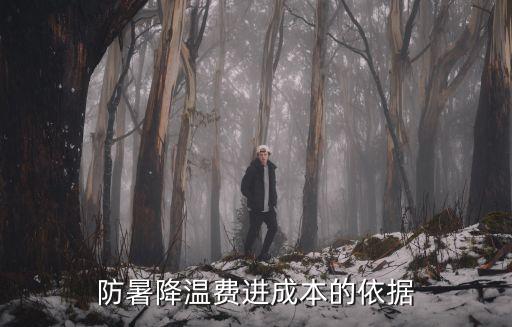 防暑降溫費，防暑降溫費能納入安全生產費用嗎