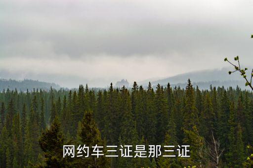 網(wǎng)約車三證是那三證