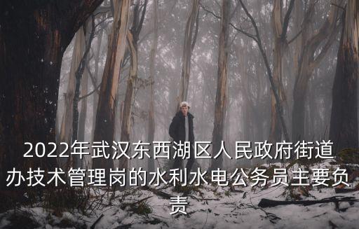 2022年武漢東西湖區(qū)人民政府街道辦技術(shù)管理崗的水利水電公務(wù)員主要負(fù)責(zé)