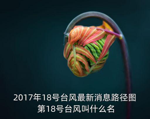 2017年18號臺風最新消息路徑圖 第18號臺風叫什么名