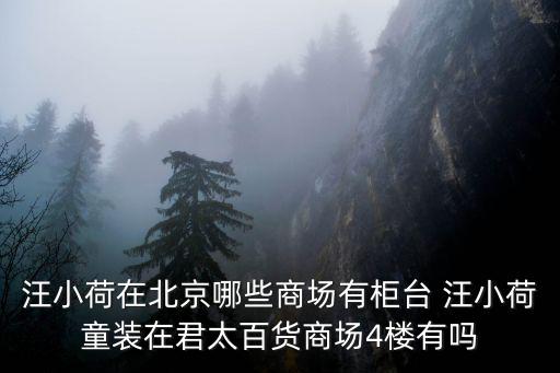 汪小荷在北京哪些商場有柜臺 汪小荷童裝在君太百貨商場4樓有嗎