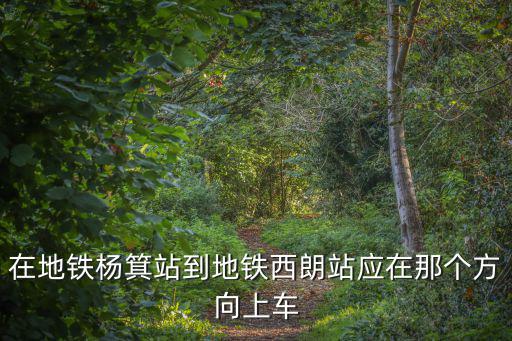 楊箕地鐵站，廣州地鐵天平架到楊箕