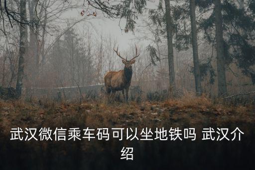 武漢微信乘車碼可以坐地鐵嗎 武漢介紹