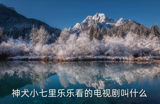 神犬小七里樂樂看的電視劇叫什么