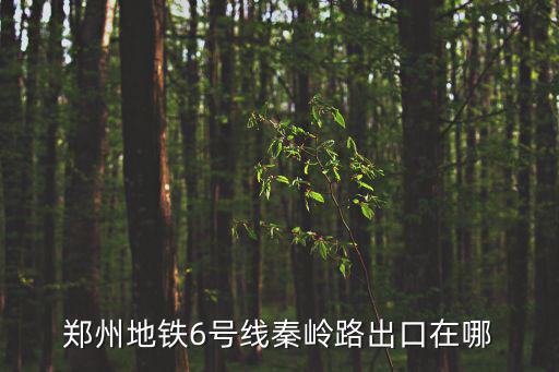 鄭州地鐵6號(hào)線秦嶺路出口在哪