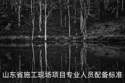 山東省施工現場項目專業人員配備標準