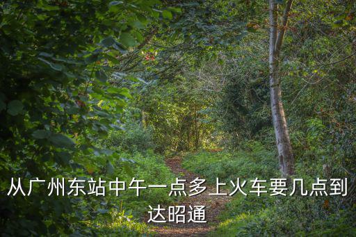 從廣州東站中午一點多上火車要幾點到達昭通