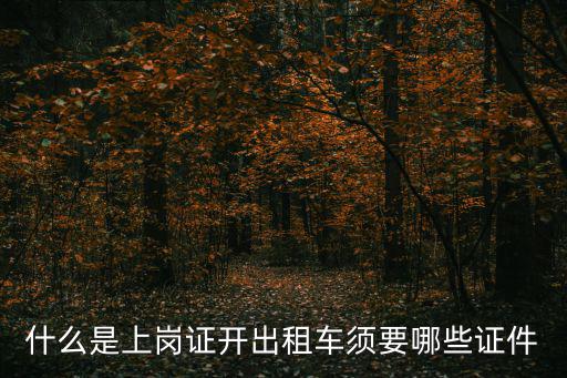 什么是上崗證開(kāi)出租車(chē)須要哪些證件
