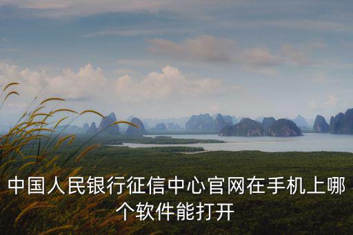 中國人民銀行征信中心官網在手機上哪個軟件能打開