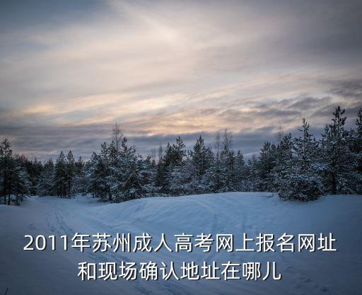 2011年蘇州成人高考網上報名網址和現場確認地址在哪兒
