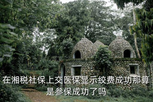 在湘稅社保上交醫保顯示絞費成功那算是參保成功了嗎
